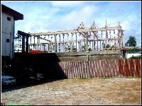 Mahonylaan - nr. 0069